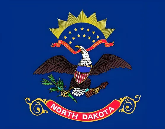 American state flag painting