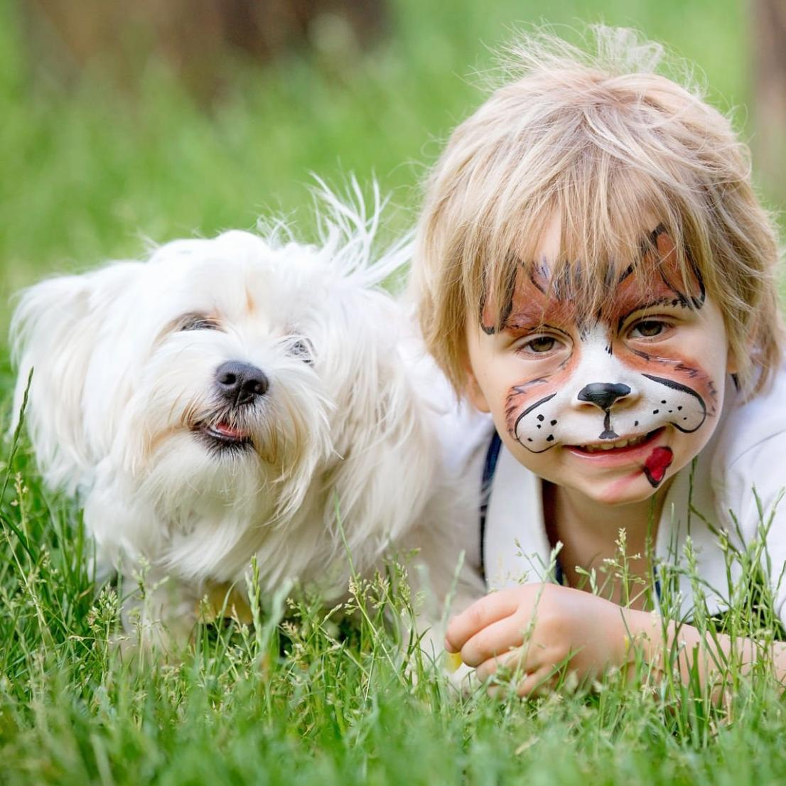 Master Animal Face Painting Like a Pro with AnkaBella’s Premium Tools & Techniques