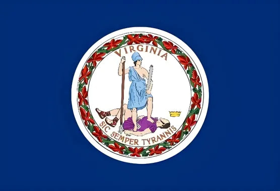 American state flag painting