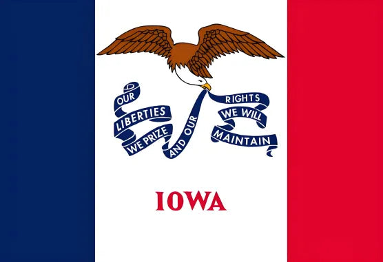 American state flag painting