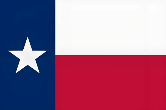 Pintura de la bandera de un estado estadounidense