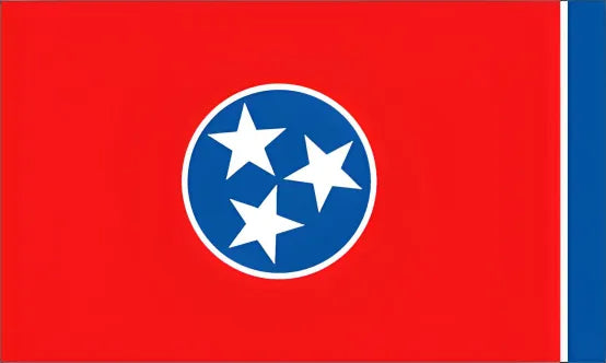 American state flag painting