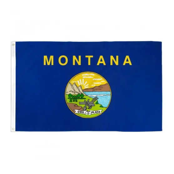 Pintura de la bandera de un estado estadounidense