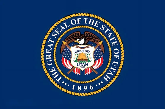 American state flag painting