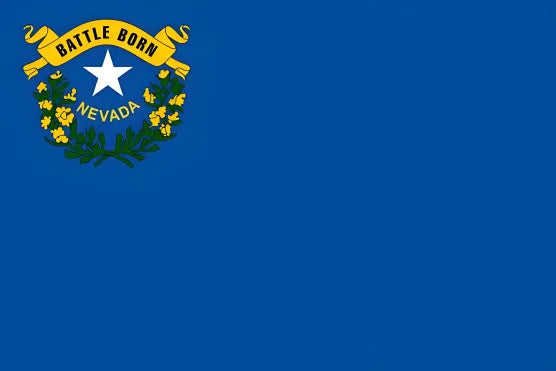 Pintura de la bandera de un estado estadounidense