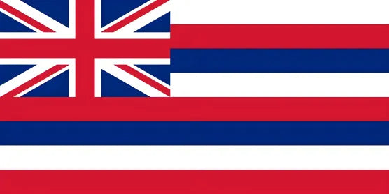 American state flag painting