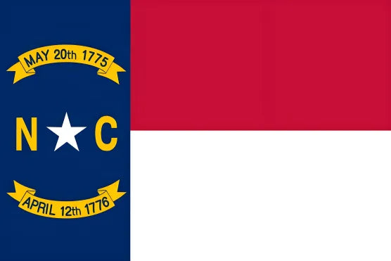 American state flag painting