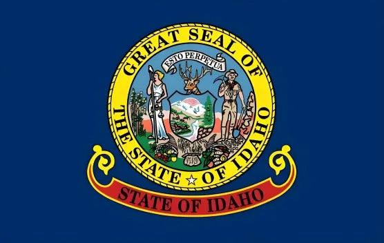 American state flag painting
