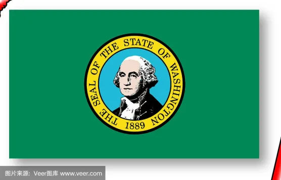 American state flag painting