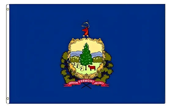 American state flag painting