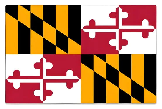 American state flag painting
