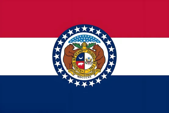 Pintura de la bandera de un estado estadounidense
