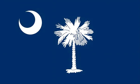 American state flag painting