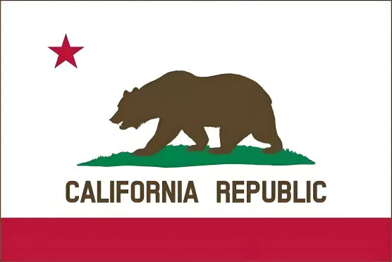 American state flag painting