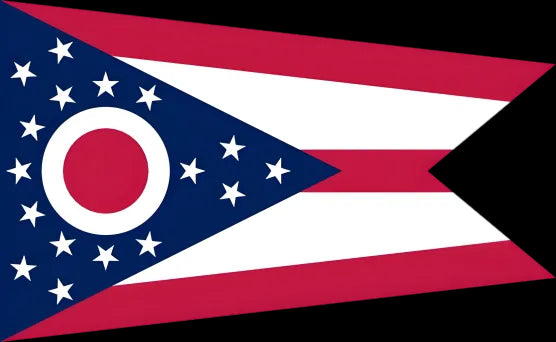 American state flag painting