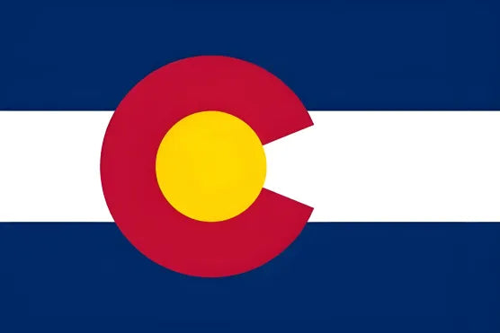 American state flag painting