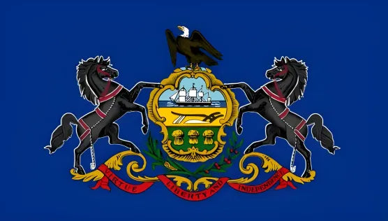 American state flag painting