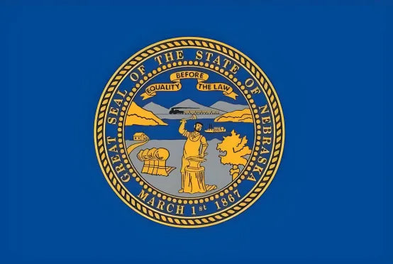 American state flag painting