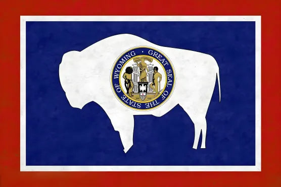 Pintura de la bandera de un estado estadounidense