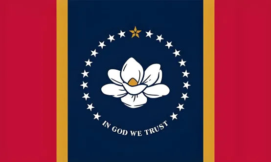 American state flag painting