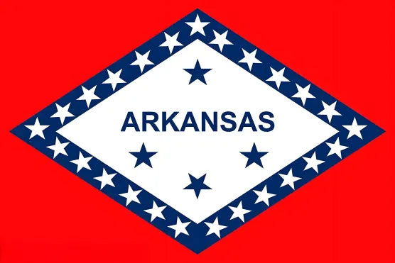 American state flag painting