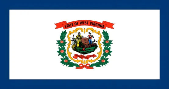 American state flag painting
